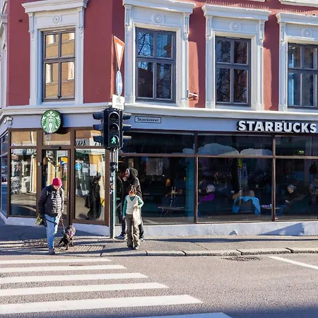 Charming With Balcony Rooftop Access アパート オスロ